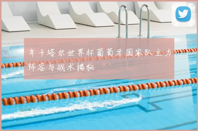 年卡塔尔世界杯葡萄牙国家队主力阵容与战术揭秘