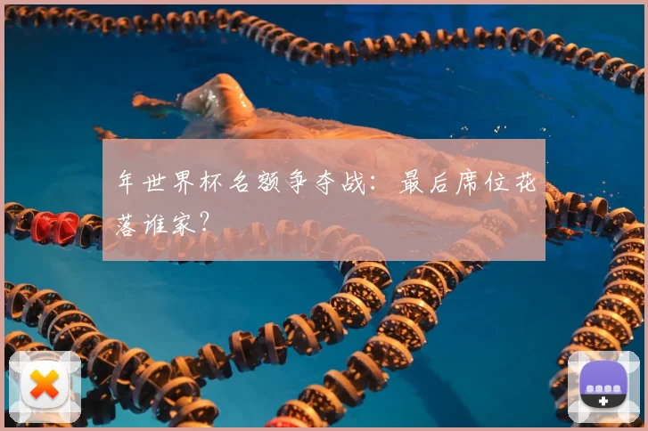 年世界杯名额争夺战：最后席位花落谁家？