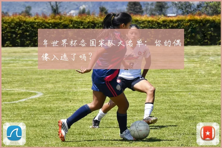 年世界杯各国家队大名单：你的偶像入选了吗？