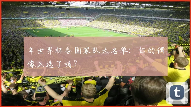 年世界杯各国家队大名单：你的偶像入选了吗？