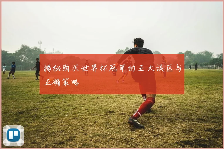 揭秘购买世界杯冠军的五大误区与正确策略