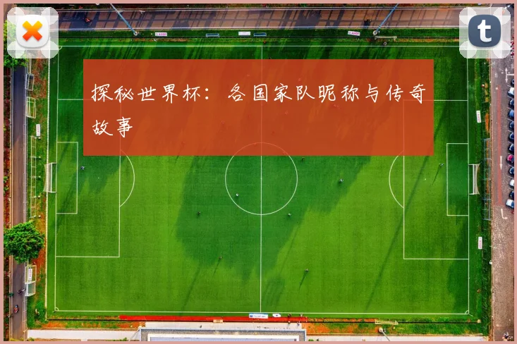 探秘世界杯：各国家队昵称与传奇故事