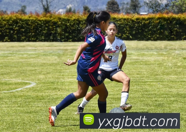 hth官网首页网址入口品牌故事